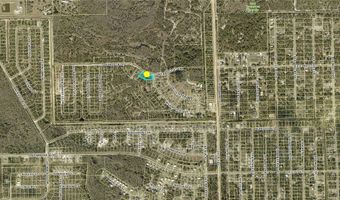 2138 Wyandotte Ave, Alva, FL 33920