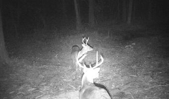 Fox Paw Court, Branchville, SC 29432