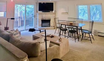 805 E Cooper Ave 12, Aspen, CO 81611