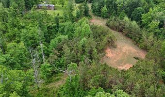 178 Lester Plunk Rd, Bethel Springs, TN 38315