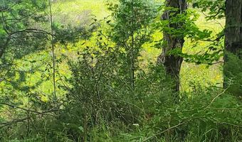 V/L 20AC Monaghan Point Road, Alpena, MI 49707