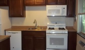 1011 Olivia Ave, Ann Arbor, MI 48104