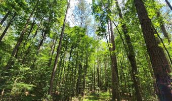 Tbd Bahalia Rd, Brookhaven, MS 39601