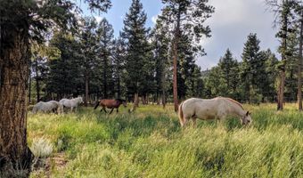 64 Elk Horn Ct, Bailey, CO 80421