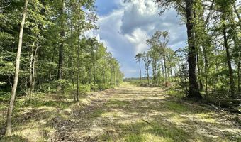 Ms-25, Brandon, MS 39047