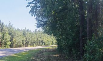 82 Acres Point Caswell Rd, Atkinson, NC 28421