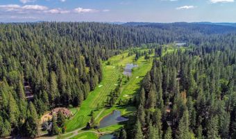 1695 Manzanita Dr, Arnold, CA 95223