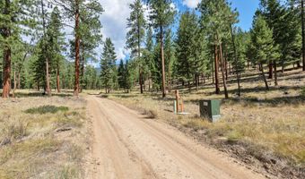 13902 Highland Trl, Alberton, MT 59820