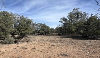 5 Deer Droppings, Ash Fork, AZ 86320
