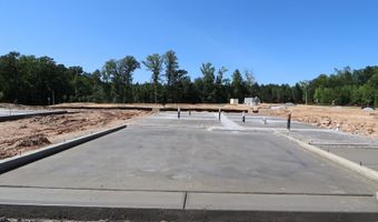3010 Sandy Sage Way, Apex, NC 27523