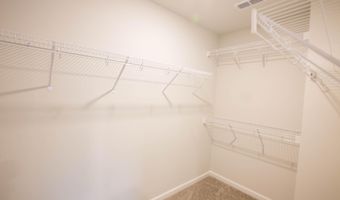 765 Larkspur Bowl Way, Apex, NC 27523