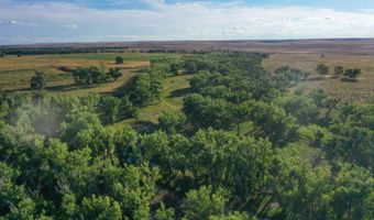 TBD County Road 170, Agate, CO 80101