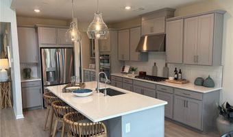 8515 Stratford Oaks Ave, Ball Ground, GA 30107