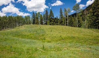 640 S Hayden Rd, Aspen, CO 81611