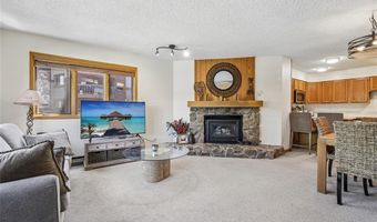 290 Broken Lance Dr B101, Breckenridge, CO 80424