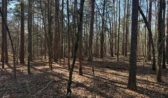 Cr 127, Abbeville, MS 38601