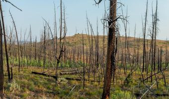 TRACT 17 FISHERMAN CREEK Road, Bondurant, WY 82922