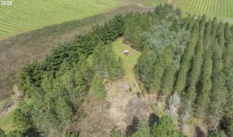 Three Trees Ln, Amity, OR 97101