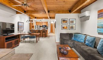 610 S West End St J204, Aspen, CO 81611