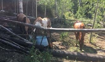 4558 Middle Mountain Rd, Bayfield, CO 81122