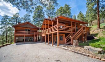 1024 Deer Ridge Dr, Bayfield, CO 81122