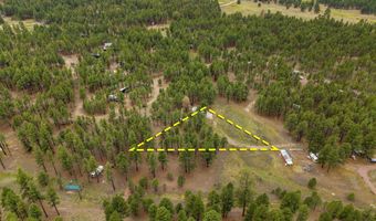 County Rd 2121, Alpine, AZ 85920
