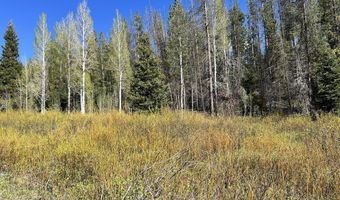 Tbd Nwne DEER HAVEN Road, Bondurant, WY 82922