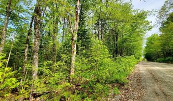 Maple Road lot 3, Atkinson, ME 04426