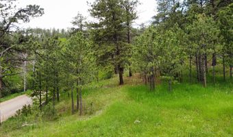 TBD Buckhorn Road, Bellvue, CO 80512