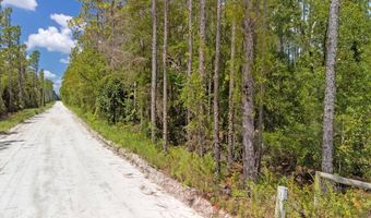 TBD 65th St, Bell, FL 32619