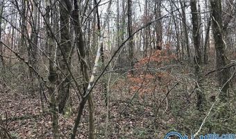 6777 Hwy 207, Anderson, AL 35610