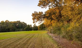 100 Acres Harmony Church Rd, Andalusia, AL 36421