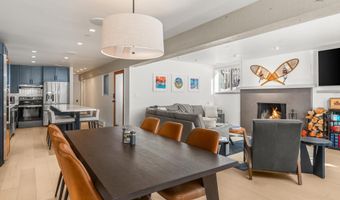 104 W Cooper Ave 1A, Aspen, CO 81611