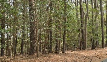 HIGH ST lot 77, Accomac, VA 23301