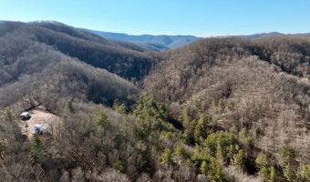 3530 Hamilton Ridge Rd, Alderson, WV 24910