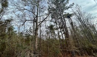 SE Lee Drive, Bogue Chitto, MS 39629