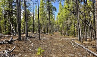 PCS # 7765 & 12057 Rollies Trail lot 0, Alma, CO 80420
