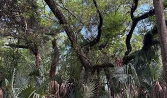 207 Muscadine Wynd, Bald Head Island, NC 28461