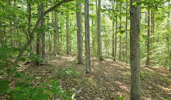 UC001 Grandmas Hill Road, Amherst, VA 24521