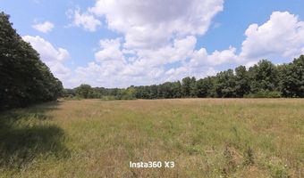 16949 Us 160, Alton, MO 65606