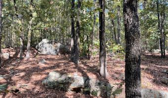 Tract 52 E 1885 Road, Antlers, OK 74523