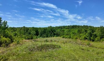 County Road 38, Autaugaville, AL 36003