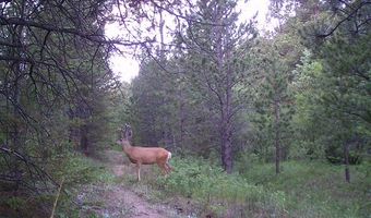TBD County Road 59, Allenspark, CO 80510