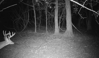 Putnam Road, Belzoni, MS 39038