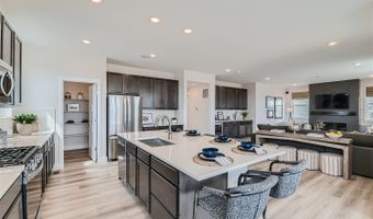 4223 Crestone Peak St Plan: Artisan 4, Brighton, CO 80601