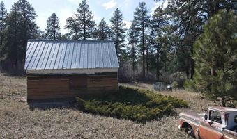 TBD Bear Creek Road, Bayfield, CO 81122