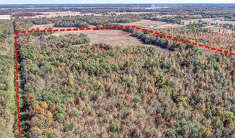 5151 Nash Rd, Batesville, MS 38606