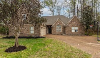 11905 COUNTRY VALLEY Cv, Arlington, TN 38002