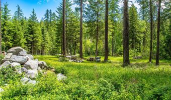 695 Latigo Ln, Bigfork, MT 59911