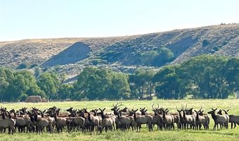 6 Whitney Dr, Cody, WY 82414